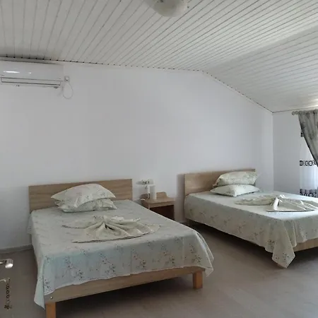 Homestay Alexandra