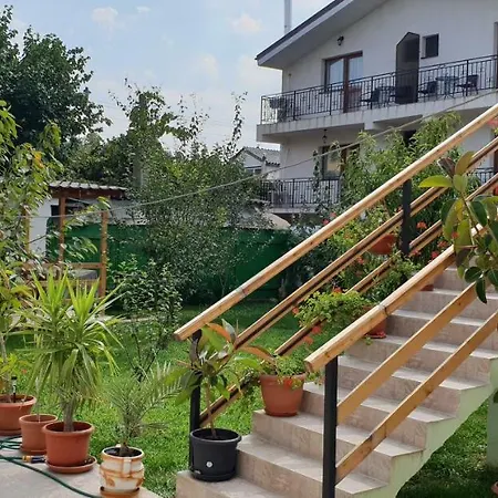 Vila Alexandra Homestay