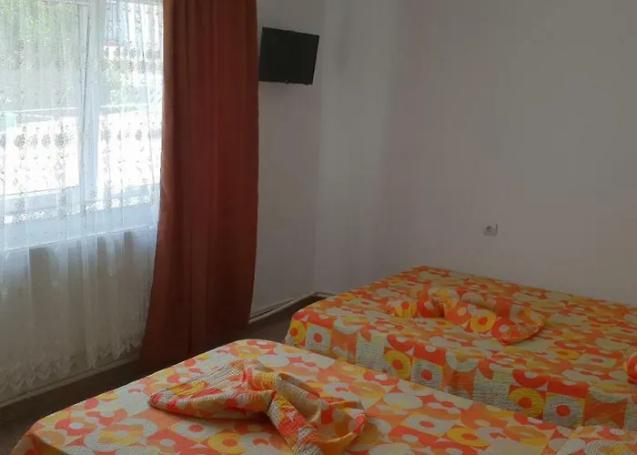 Séjour chez l'habitant Alexandra Eforie Nord